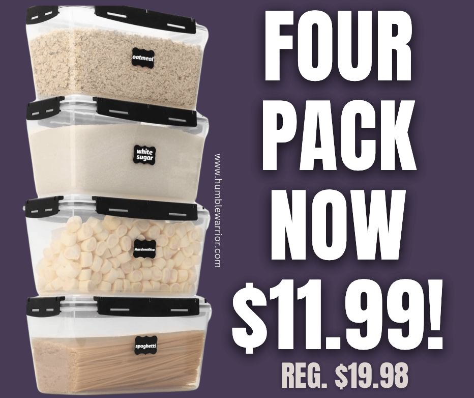 CASA LINGO 4-Pack of Food Storage Containers!
